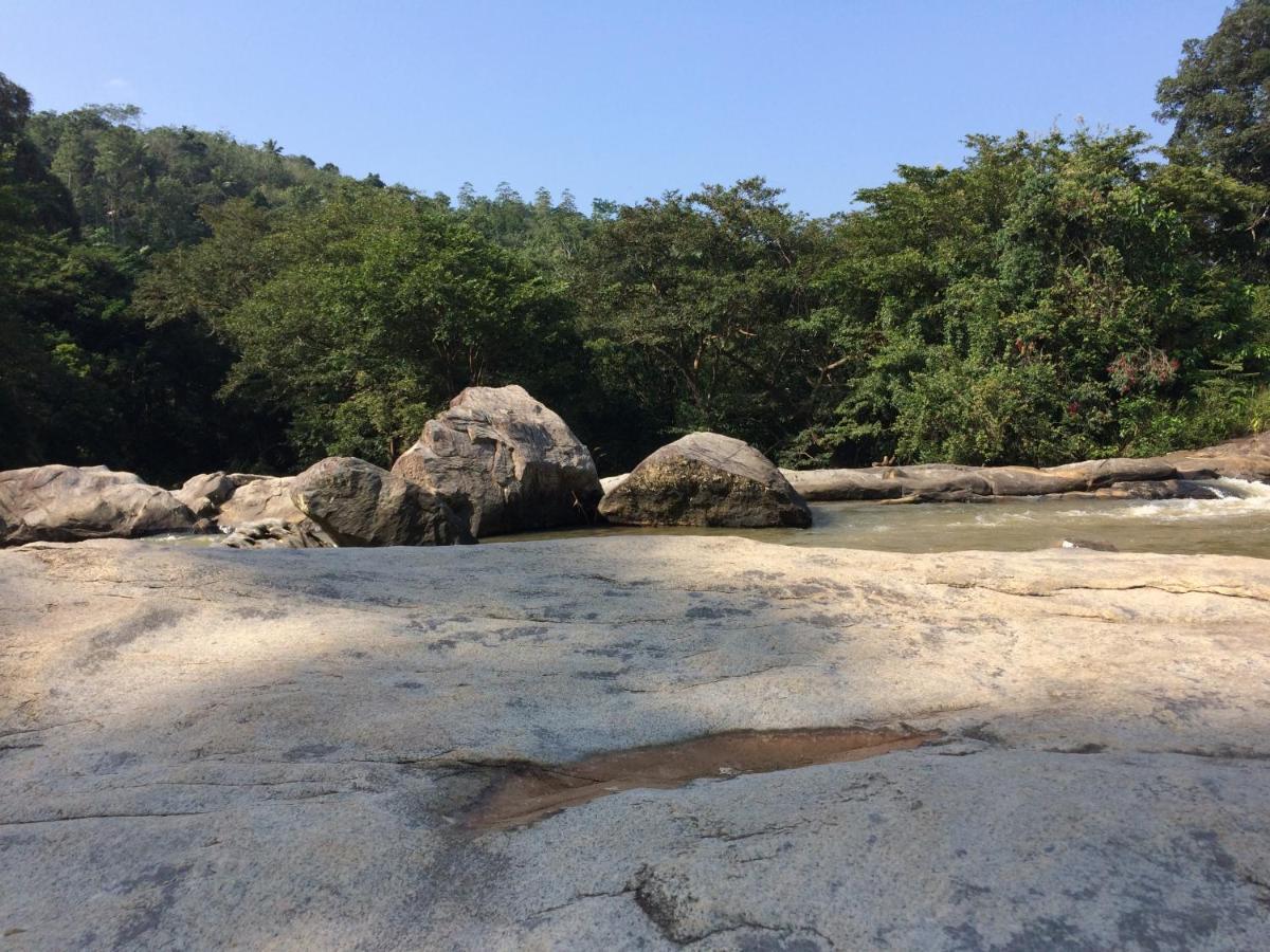 Ceylon Saradiel Home Stay Mawanella Zewnętrze zdjęcie
